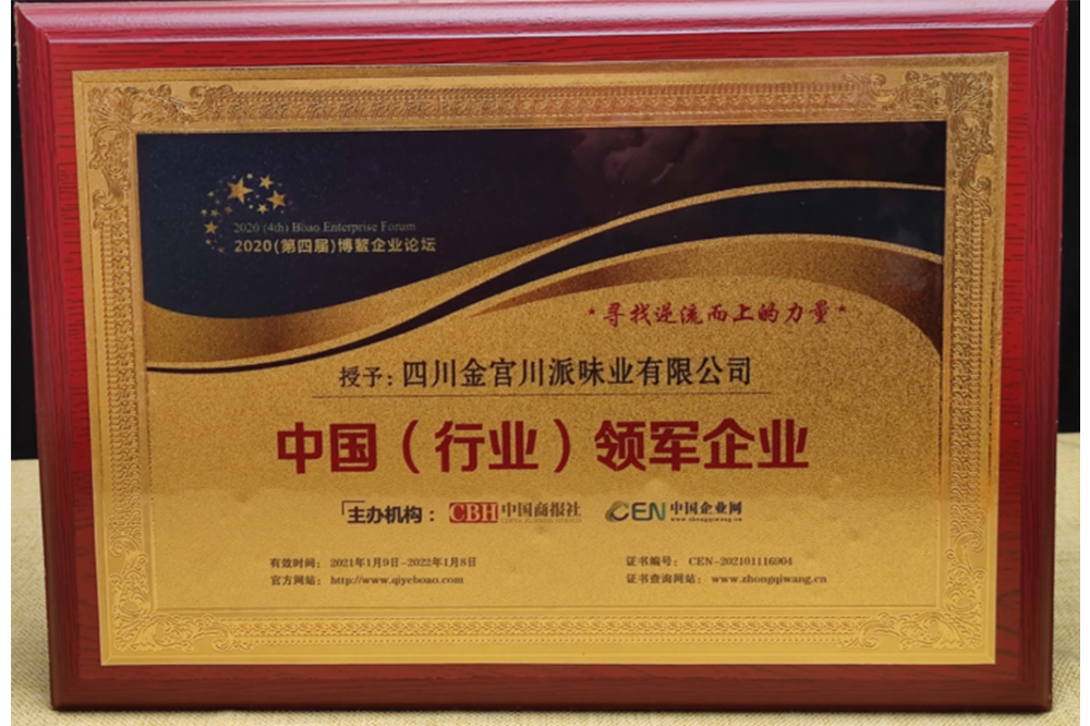 中國（行業）領軍企業